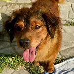 A Casa Di Lili - A Due Passi Dal Mare *
